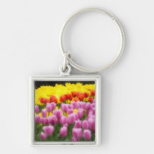 WA, Skagit Valley, Roozengaarde Tulip Garden, 2 Keychains