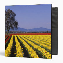 WA, Skagit Valley, Skagit Valley Tulip 2 Vinyl Binder