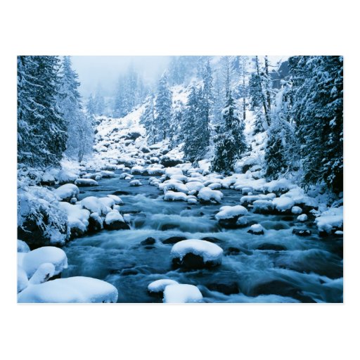 WA, Wenatchee National Forest, Cascade Post Cards