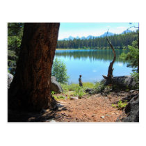Wabasso Lake Postcard postcards