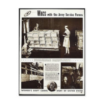 Wacs With The Army Service Forces Postcard