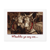 Wadda ya say we... postcards