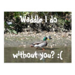 Waddle I do, without you? :( Post Card