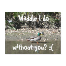 Waddle I do, without you? :( postcards by bkang22 Waddle I do, without you? :( postcards