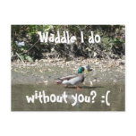 Waddle I do, without you? :( postcards
