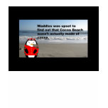 Waddles at Cocoa Beach, FL T-Shirt