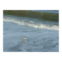 Wader posters