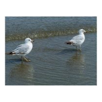 Waders posters by dduhaime55 Waders posters