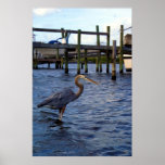 Wading Bird Posters