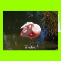 Wading cards
