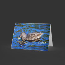 Wading Duck Thinking of You Card cards