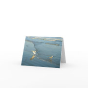 Wading Gulls Blank Note Cards card