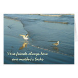 Wading Gulls Friendship Card