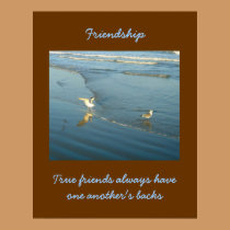 Wading Gulls Friendship Poster posters