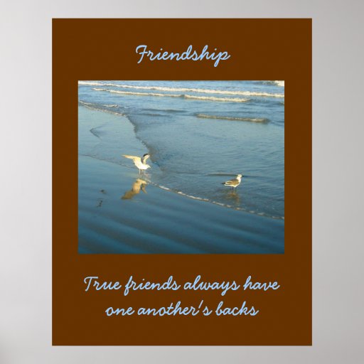 Wading Gulls Friendship Poster