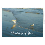 Wading Gulls Thinking of You Card