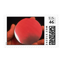 Waffle disc in hand stamps