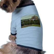Wagner's theater (i.e. Festspielhaus), Bayreuth, B Doggie Tshirt