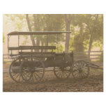 Wagon - Abe's Buggie flyers