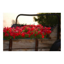 WAGON OF FLOWERS PHOTO posters by GINABARE WAGON OF FLOWERS PHOTO posters