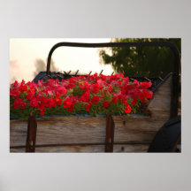 WAGON OF FLOWERS PHOTO POSTERS