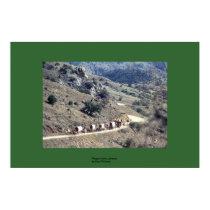Wagon Train, Arizona posters