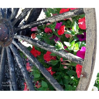 Wagon Wheel and flowers 2 mousepad