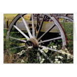 Wagon Wheel Card