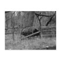 Wagon Wheel postcards