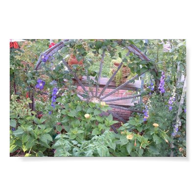 Wagon wheel print by ladyfirebird93