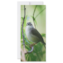 Wagtail Custom Rack Card