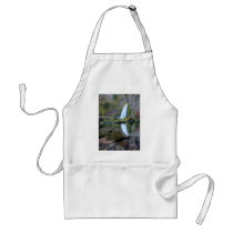 Wahclella Falls aprons