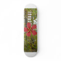 wahini board skateboards