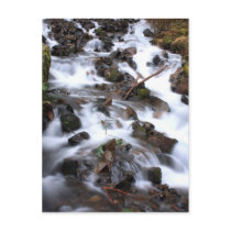 Wahkeena Falls Oregon Postcard
