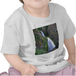 Wahkeena Falls Tees