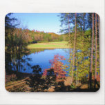 wahoo fall full color