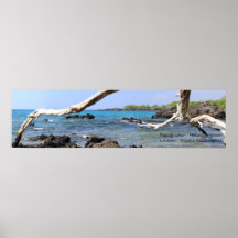 Waialea Beach Poster