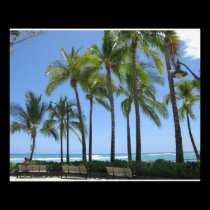Waikiki Beach photography