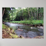 Wailua River Poster posters