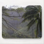 Waipio Valley Waterfall, Hawaii Mouse Mats