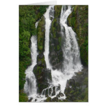 Waipunga Falls cards