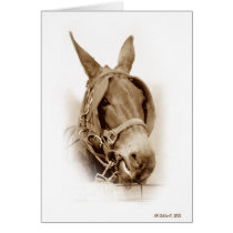Waitin' to Work cards by StarLily Waitin' to Work cards