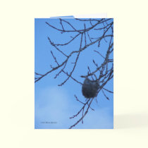 Waiting 4 Spring cards by MoiraAshleigh Waiting 4 Spring cards