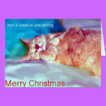 Waiting for Christmas cards