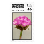 Waiting for it's lover, the bee. stamps