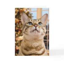 Waiting for Santa Cards