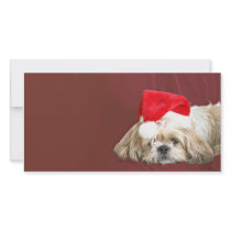 Waiting for Santa photo cards