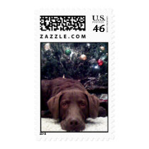 Waiting for Santa Postage Stamps