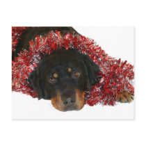 Waiting for Santa postcard