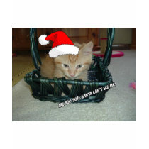 Waiting for Santa t-shirts